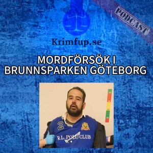 Helmer - Vittne - Mordförsök i Brunnsparken Göteborg - Knivhögg en liten flicka