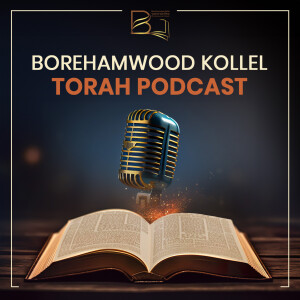 Kitzur Shulchan Aruch Yomi: 32:23-End Ideal Health Practices (Cont.) (Dec 30th, 2024) - Rabbi Chaim Burman