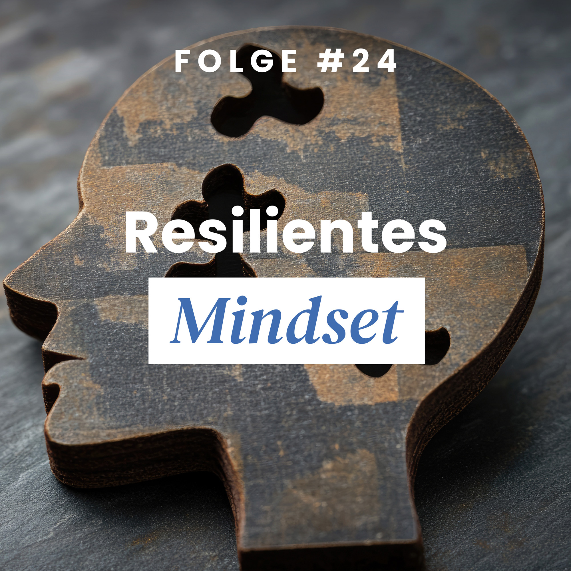 Rethinking Resilience