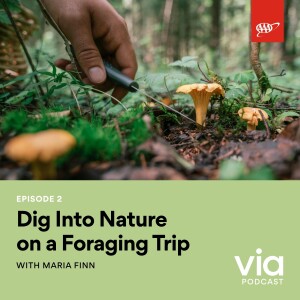 Dig Into Nature on a Foraging Trip with Maria Finn