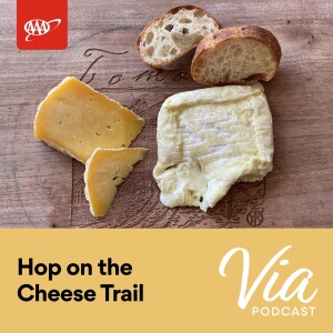 Hop on the Cheese Trail: Views, Moos, and One Cheesy Scandal