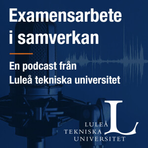 Examensarbete i samverkan