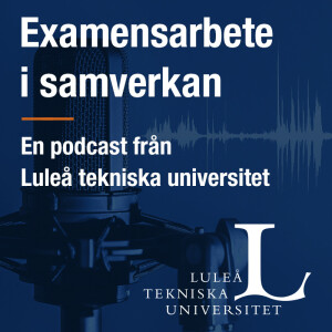 Examensarbete i samverkan