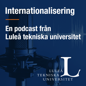 Internationalisering