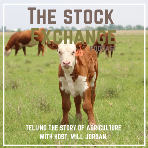 #004 - Experts in Efficiency: Hereford's Role in Rebuilding the Cowherd with Jack Ward