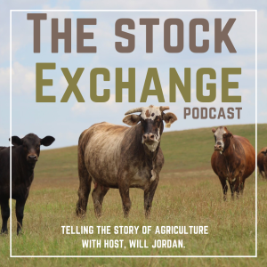 #001 - Pulling Back the Curtain on The Beef Checkoff: Sarah Metzler