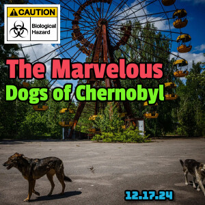 The Marvelous Dogs of Chernobyl, Tokyo Institutes a 4-Day Work Week, & More