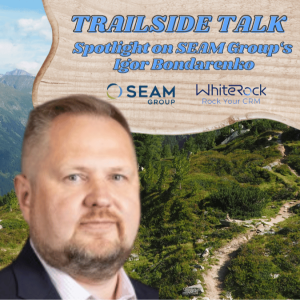 Navigating Tech Transformation with Igor Bondarenko, Chief Technology Officer of SEAM Group