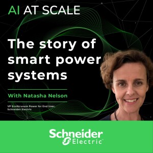 Natasha Nelson: The story of smart power systems