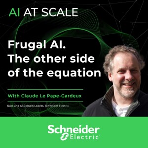 Claude Le Pape-Gardeux: Frugal AI. The other side of the equation