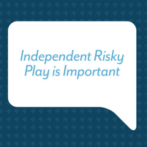 Independent Risky Play is Important