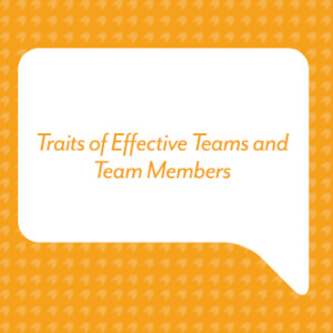 Traits of Effective Teams and Team Members