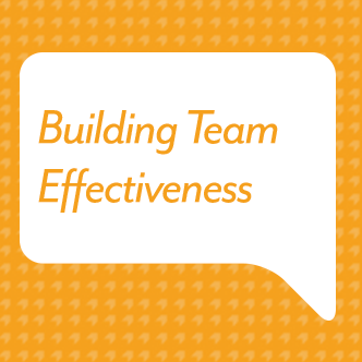 Building Team Effectiveness