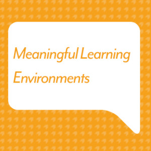 Meaningful Learning Environments