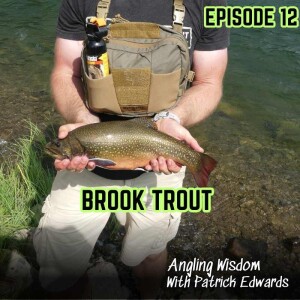 Brook Trout: How to Catch Brookies and Interesting Facts About Them