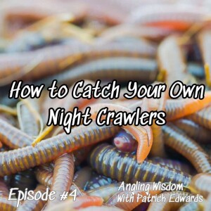 DIY Catching Night Crawlers for Fishing Bait