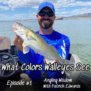 Walleye Vision: Unraveling the Secrets of Lure Color for Walleye Fishing