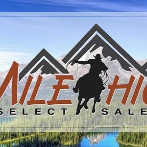 Harley Troyer Mile High Select Sale : Episode #671