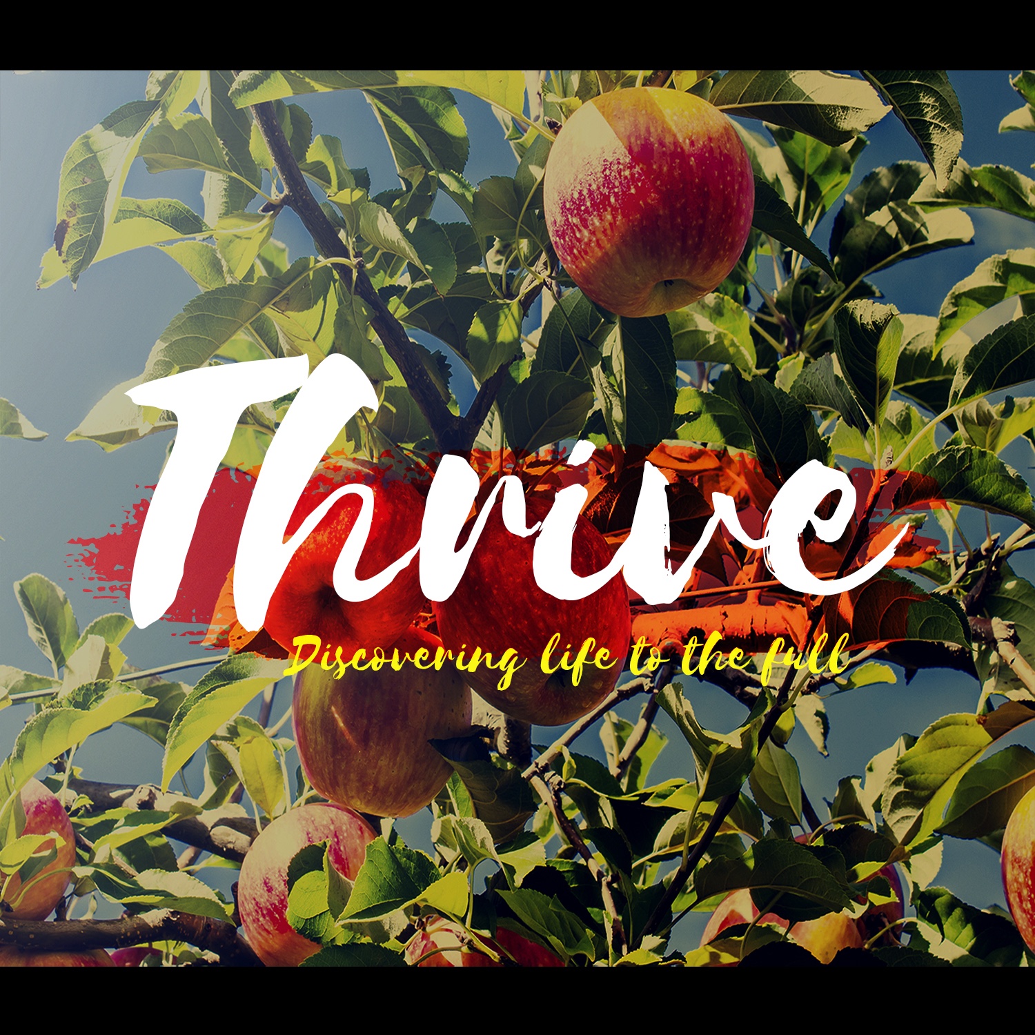 Thrive: Monday Morning Liturgy
