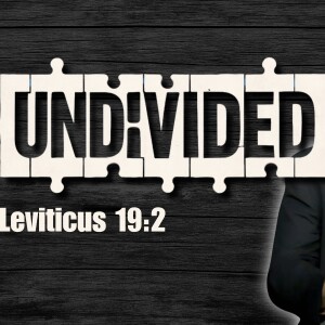 Undivided: Leviticus 19:2