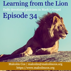 Learning from the Lion: Mark 10:13-31
