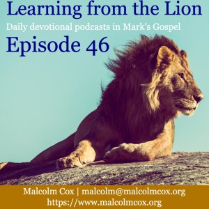 Learning from the Lion: Mark 13: 14-27