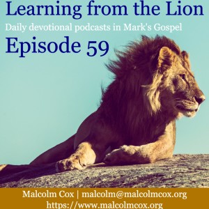 Learning from the Lion: Wrapping up the series