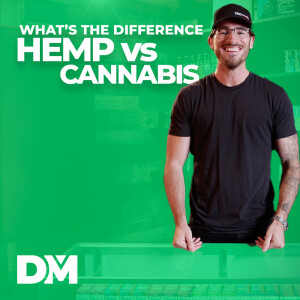 What Is The Difference Between Hemp And Cannabis - DistroMike