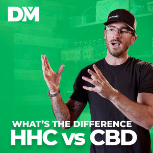 What's the difference between HHC and CBD? - DistroMike