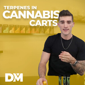 Terpenes in Cannabis Carts | Cannabis vs Botanical vs Synthetic | InsiderInfo 003 - DistroMike