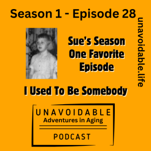 Sue’s Favorite: I Used to Be Somebody