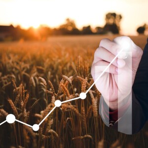 How Predictive Analytics Is Revolutionizing Agriculture