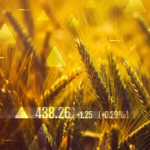 Agricultural Commodity Trading - Insights and Strategies