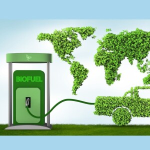 Roman Zenon Dawidowicz | Biofuel Market