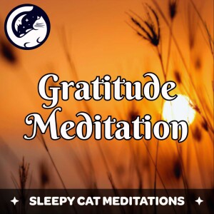 Mindfulness Meditation for Gratitude and Appreciation