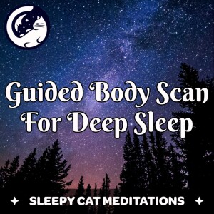 Guided Meditation for Deep Sleep (Body Scan)