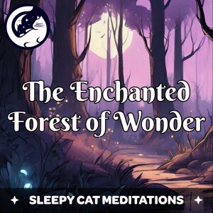 The Enchanted Forest (Guided Sleep Story)