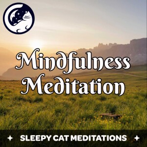 Peaceful Mindfulness Meditation