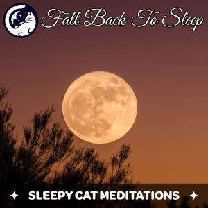 Fall Back To Sleep Meditation