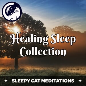 The Healing Sleep Collection