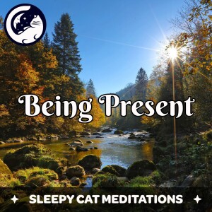 Coming Into The Present Meditation