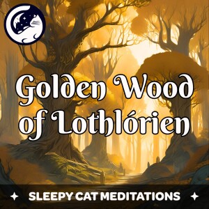 The Golden Wood of Lothlórien - Guided Sleep Story inspired by The Lord of the Rings