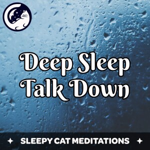 Deep Sleep Talk Down With Rain