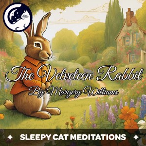 The Velveteen Rabbit - A Cosy Bedtime Story (With Gentle Rain & Music)