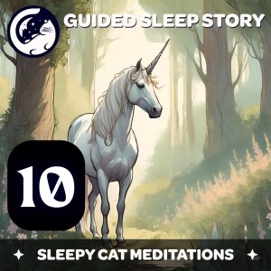 'Yer a Wizard' Episode 10: Transfiguration & Magical Creatures - Harry Potter Inspired Sleep Story