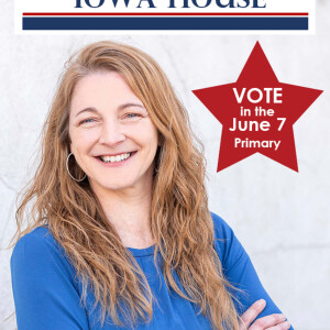 Helena Hayes Wins district 88