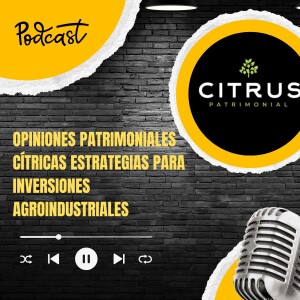 Opiniones Patrimoniales Cítricas Estrategias para Inversiones Agroindustriales