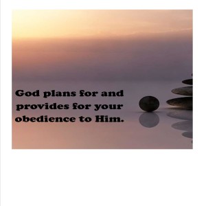 Sermon - God Plans For Your Obedience