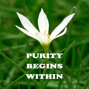 Sermon - Purity Begins Within