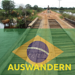 (288) Leben in Rondonia | AUSWANDERN nach BRASILIEN | BUNDESSTAATENSERIE